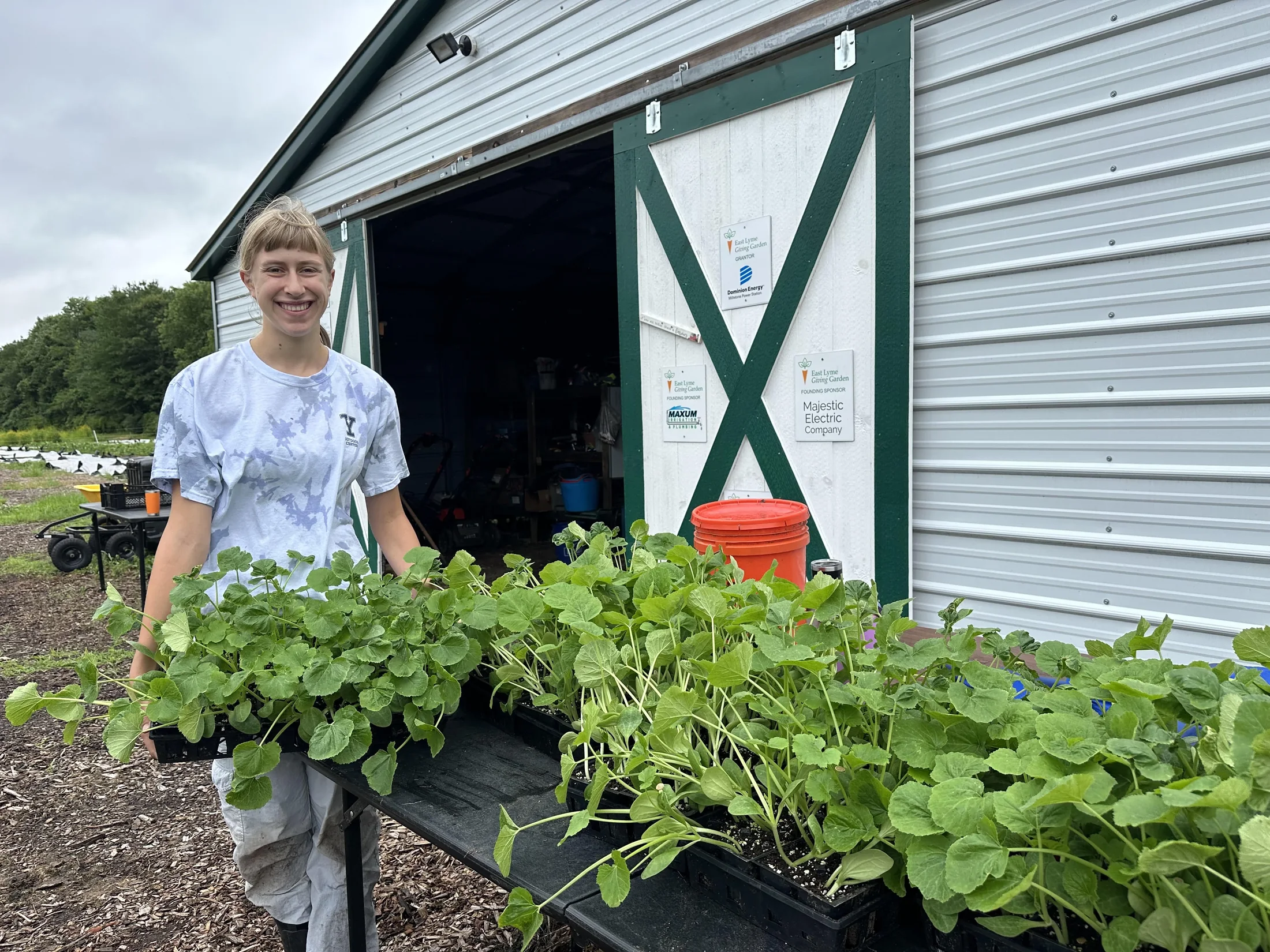 High-school poster-session participant standing beside trays of seedlings at the East Lyme Giving Garden.